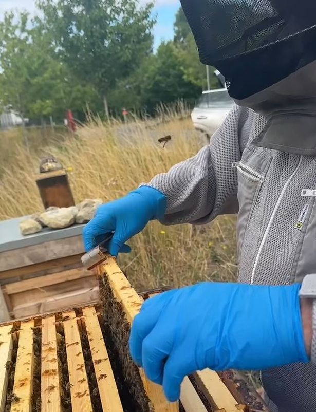 Southmead Hospital has its own bee hives and beekeeper, Derek Allen