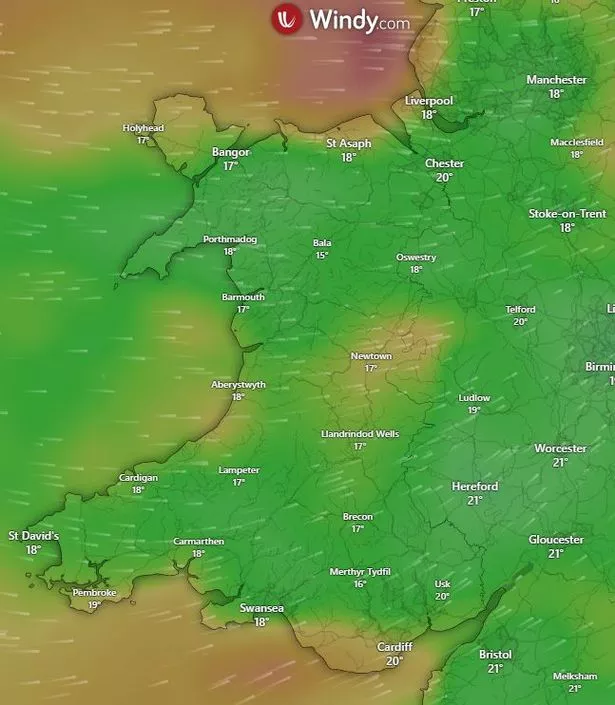 Wind map