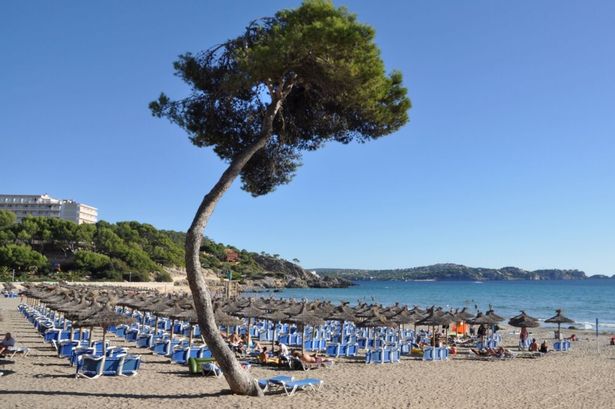 Many tourists are unaware of the regulations which could land them hefty fines.