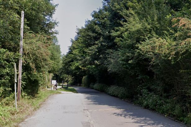 Waggon Road, Park Bridge