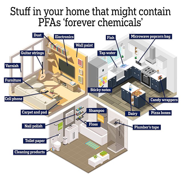 PFAS is a common contaminant in many household items from cookware to toilet paper