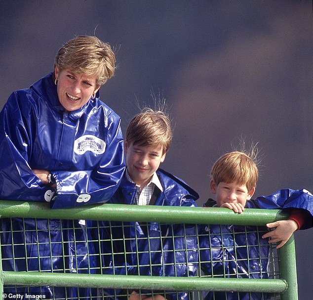 The real reason Prince Harry and Prince William won't inherit Princess Diana's childhood home and the little-known family member who is first in line to the estate