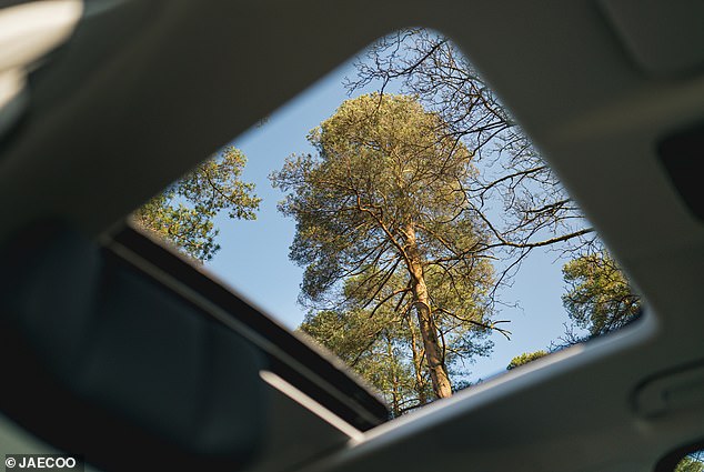 Panoramic roofs: The much loved modern feature is a huge aesthetically sell and enhances the driving experience, but the popularity of panoramic roofs is making convertibles redundant