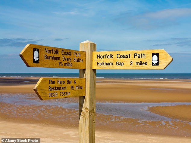 Holkham is one of the prime locations to watch the migration of geese and while walking through the latter, I was lucky to see 90,000 of the pink-footed variety, says Roger