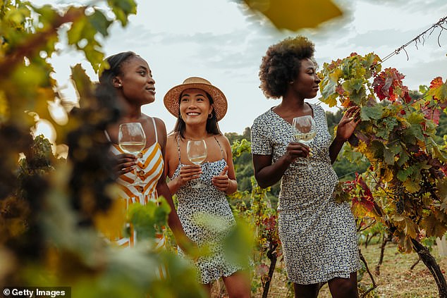 Brits also love visiting vineyards (13 per cent) in Europe and admiring Renaissance art (12 per cent) (stock)