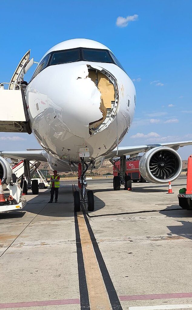 Iberia Flight IB579 was forced to land back in Madrid after it was reportedly struck by a large bird during takeoff