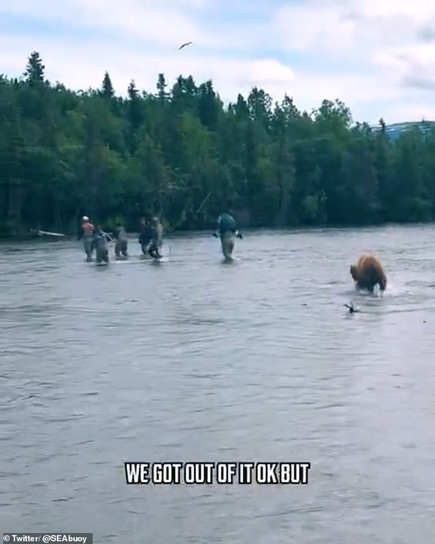 The charging brown bear can be seen doing a bluff charge as the film crew heads for shore