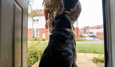 Rules on owning pets ease for families in 900 military homes in Northern Ireland