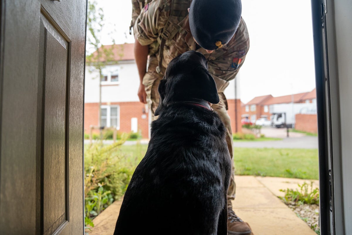Rules on owning pets ease for families in 900 military homes in Northern Ireland