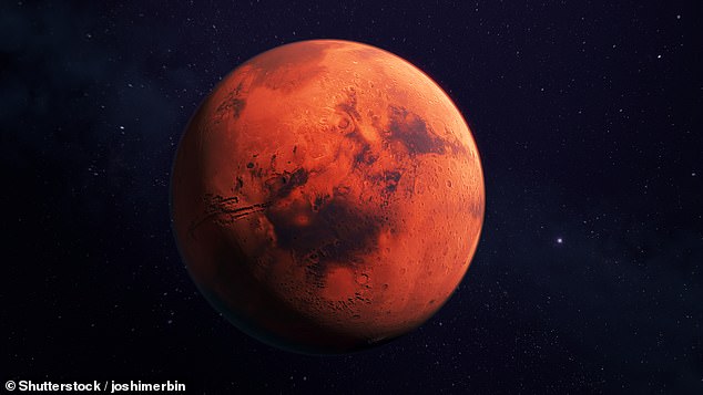 The image has sparked fresh speculation of life on Mars, but scientists said mineral-rich water once seeped into tiny cracks in Martian rocks, depositing solid veins that were later exposed by billions of years of wind erosion