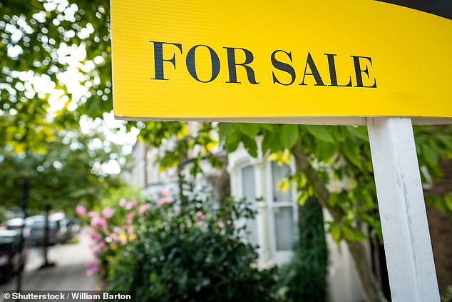 On the ladder - at last: Some argue savers should be allowed to access portions of their pension pots early in order to buy a home, and avoid renting in older age
