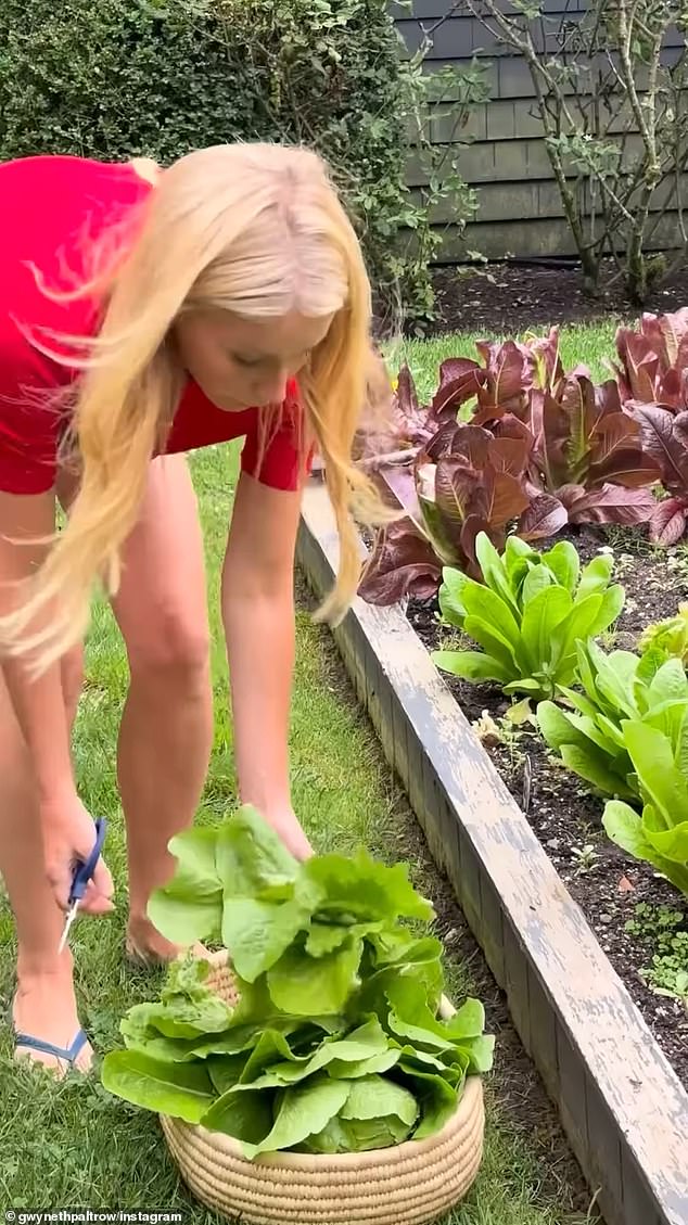The actress grows many of her own fruits and vegetables in a home garden