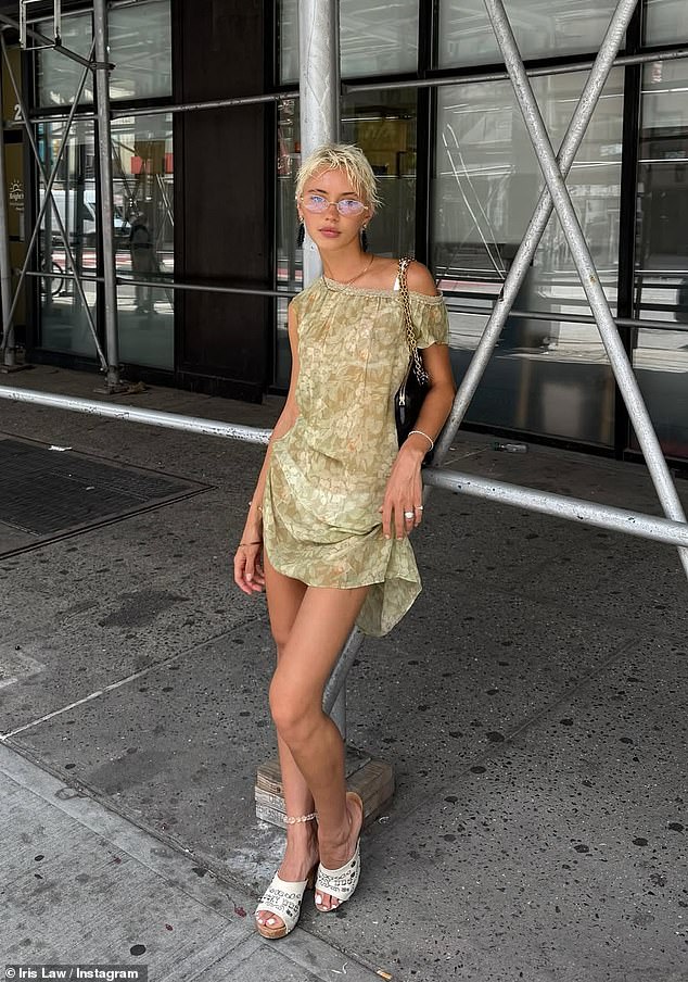 Iris's outing comes after she put on a racy display in a sheer chiffon mini-dress exposing sexy lingerie as she strolled through New York City