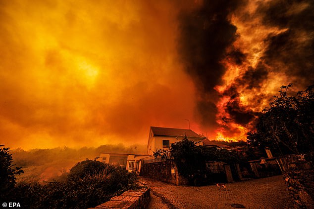 Fire and clouds of smoke during a forest fire in Macieira, Sernancelhe, Viseu, Portugal, 15 August 2025