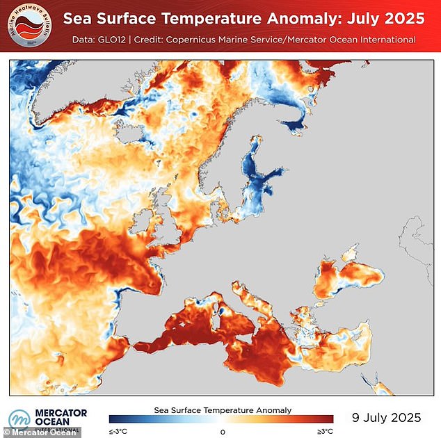 Mercator Ocean International, a non-profit organisation is part of the EU¿s Copernicus Marine Service and monitors the conditions of the ocean, has revealed the high temperatures