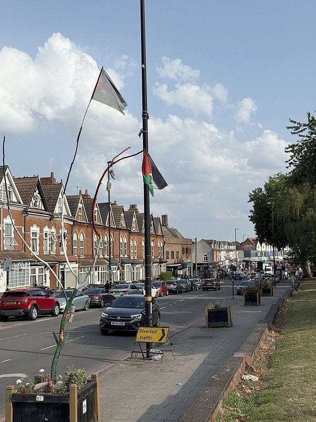 Birmingham City Council said it had removed more than 200 attachments from ¿street furniture¿ this year, including Palestinian flags, but some had been replaced