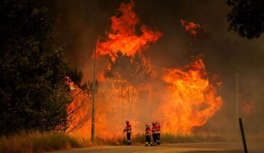 The former mayor of a Portuguese town has died after trying to fight dramatic wildfires which have ravaged Europe including Spain and Greece. Pictured: Firefighters try to fight the forest fire in Vila da Ponte, Sernancelhe, Viseu, Portugal
