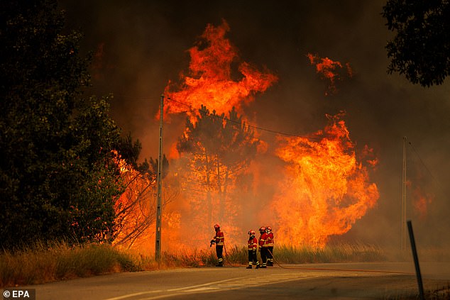 The former mayor of a Portuguese town has died after trying to fight dramatic wildfires which have ravaged Europe including Spain and Greece. Pictured: Firefighters try to fight the forest fire in Vila da Ponte, Sernancelhe, Viseu, Portugal