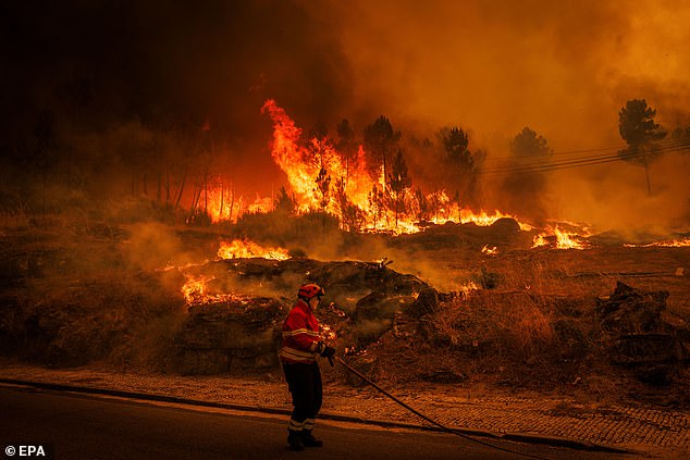For numerous days now, several thousand firefighters have been battling fires in various parts of the country