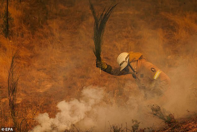 Nearly 4,000 firefighters are fighting seven major fires across the country, in Tabuaço, Trancos, Sirarelhos, Sátão, Arganil, Vilarinho do Monte and Ermidas do Sado
