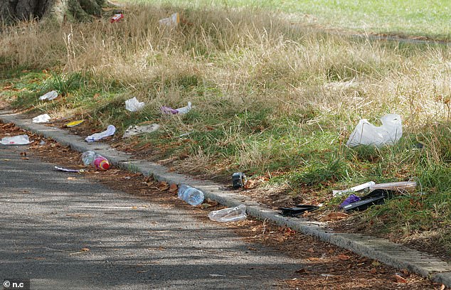 Mounds of waste have already begun piling up on the grass next to the common