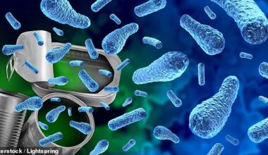 Toxins found in everything from cosmetics to waterproof clothing could hinder weight loss, a study has shown