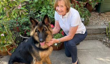 Christine was told she'd need a new knee... now she's pain free thanks to a £300 gadget first used on injured horses