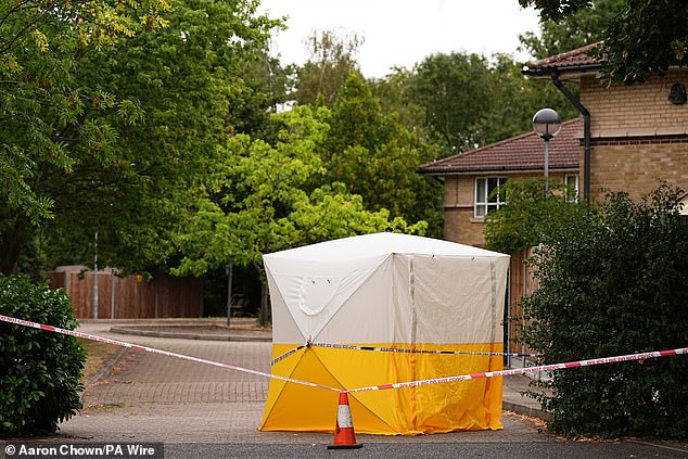 The emergency services worked to help Zahwa- but despite their best efforts, she was sadly pronounced dead at the scene (pictured on Saturday), near the town of Romford