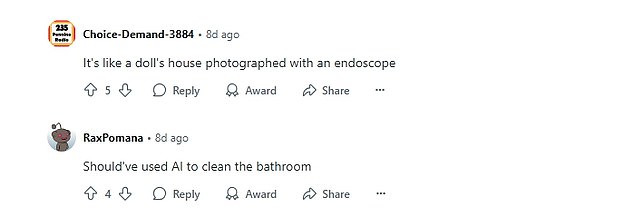 The online advert for the house has created a stir online where it has been mocked by Reddit users