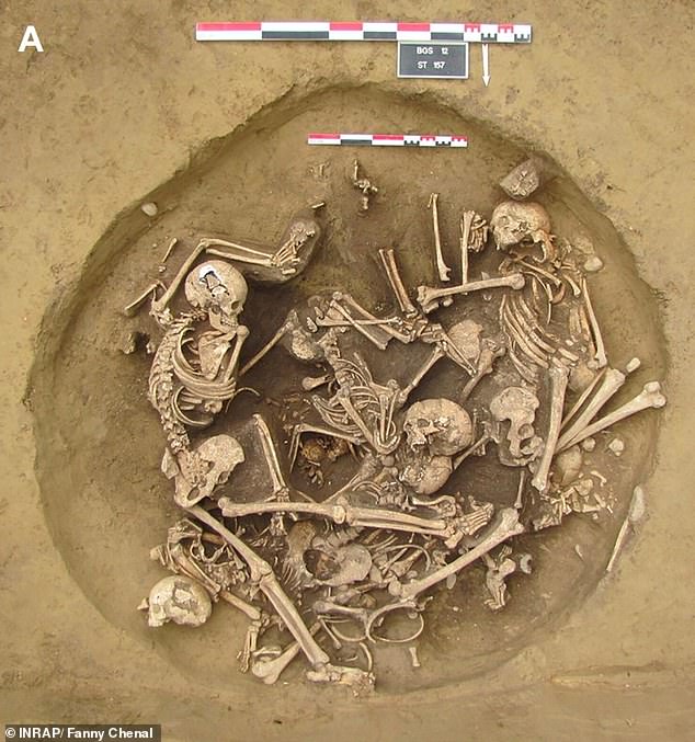 Dozens of warriors came to their brutal end after being captured in northeastern France , where warfare was widespread across the region