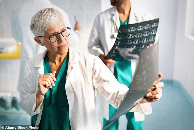 Researchers at the University of California, San Francisco discovered that a protein known as ferritin light chain 1 (FTL1) builds up in the brain's memory hub of aging mice (stock image)