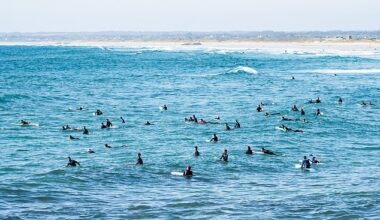 Surf's up...for hundreds! Locals in popular French coastal resorts are unhappy about rookie surfers - and even pros - flocking to ride their waves (Pictured: Surfers off La Torche beach in France pictured last summer)
