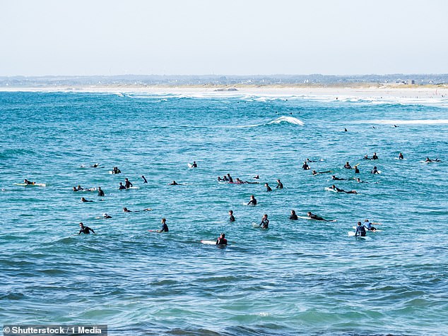 Surf's up...for hundreds! Locals in popular French coastal resorts are unhappy about rookie surfers - and even pros - flocking to ride their waves (Pictured: Surfers off La Torche beach in France pictured last summer)