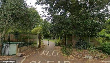 Police were called just before 7.15am on Thursday morning to Fishponds Park (pictured) in Surbiton, south-west London
