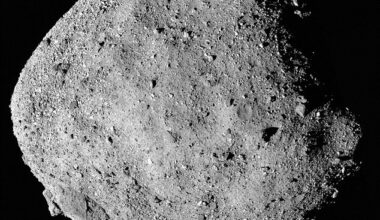 Scientists have analysed samples from the Bennu asteroid (pictured), which resembles the Death Star space station in the Star Wars films, and found it is 'chemically primitive'