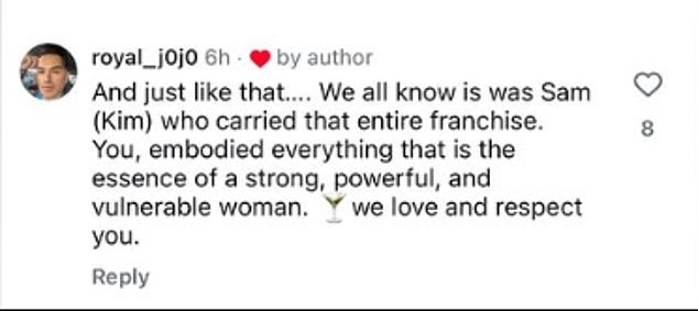 One fan joined the comments of Kim's latest Instagram post and made reference to her SATC character Samantha Jones. She seemed to agree that her role 'carried' the series as she gave the note a 'like'