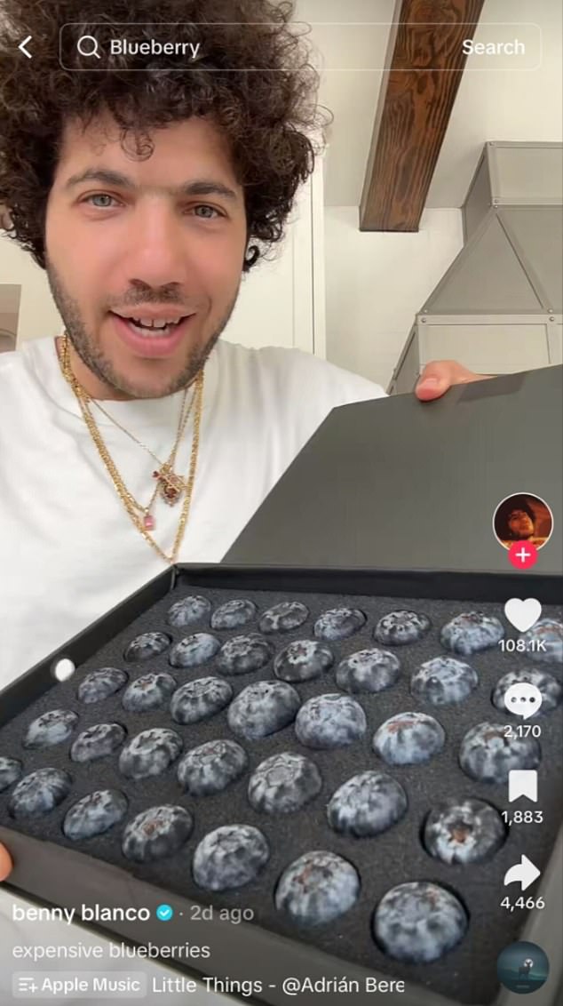 In the clip, Blanco marveled: 'Can you guys even see the scale of this? They are f**king huge. They are delicious. I think the boxes are like $200'