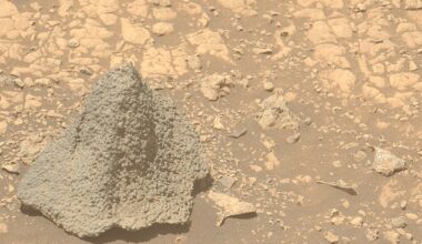 The rock was snapped on August 5 by Perseverance using its Mastcam-Z instrument, the NASA rover's primary science camera