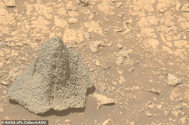 The rock was snapped on August 5 by Perseverance using its Mastcam-Z instrument, the NASA rover's primary science camera