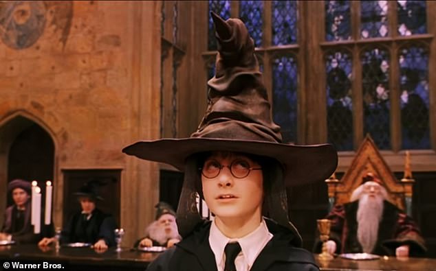 The image was shared to Reddit where it was likened to the 'sorting hat' from Harry Potter (pictured)
