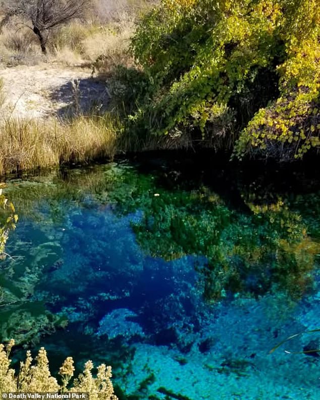 Devil's Hole is located in Nye County's Ash Meadows National Wildlife Refuge (pictured)