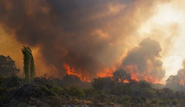 This summer, enormous wildfires swept across Europe, leaving huge swathes of Turkey, Greece , and Cyprus scorched. Now, scientists have blamed climate change for the deadly blazes. Pictured: a forest fir in Limassol province, Cyprus,in July 2025