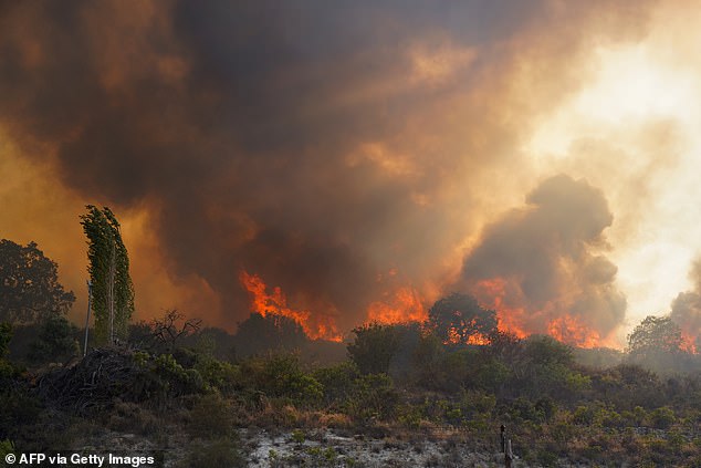 This summer, enormous wildfires swept across Europe, leaving huge swathes of Turkey, Greece , and Cyprus scorched. Now, scientists have blamed climate change for the deadly blazes. Pictured: a forest fir in Limassol province, Cyprus,in July 2025