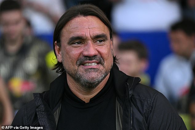 Buonanotte - able to operate as a No 10 or off the wing - is an attractive option for Daniel Farke