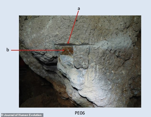 Pictured, a sample corresponding to the stalagmitic veil, where the cranium was supposed to be attached
