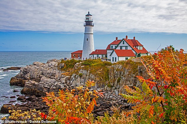 Artists, writers and dreamers have long been inspired by the rugged beauty of Portland, including around the Old Port district