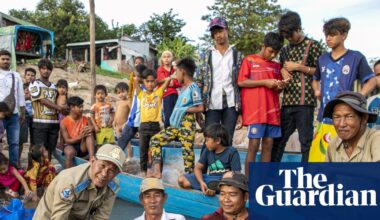 ‘Death spiral’: Mekong River megafish have shrunk by half, study reveals | Fish