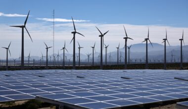 Trump says U.S. will not approve solar or wind power projects