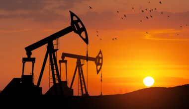 OPEC+ makes another large oil output hike in market share push  