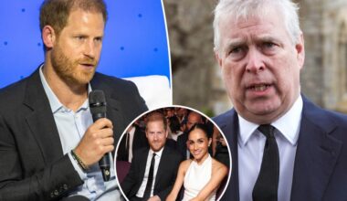 Prince Harry denies fight with Prince Andrew over Meghan Markle comments